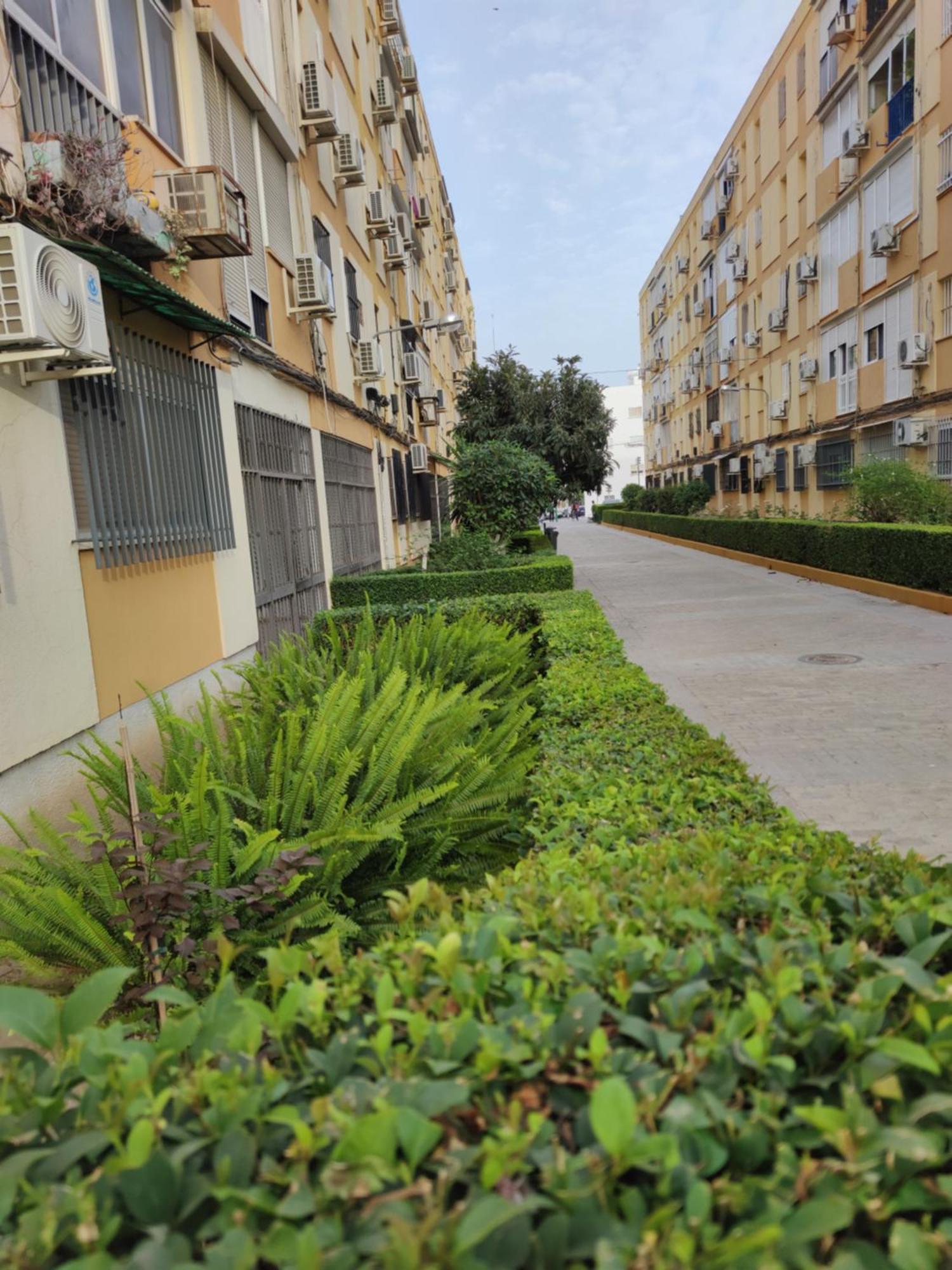 Apartamento Celia 塞维利亚 外观 照片